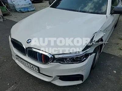 2019, BMW / 520d, VIN: WBAJF3105KBS71269, 115292 км., diesel