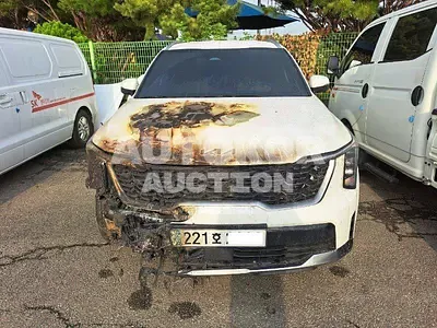 2024, Kia / Sorento, VIN: KNARH81GBRA263732, hybrid