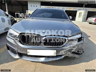 2017, BMW / 520, VIN: WBAJC3102HG991309, 81471 км., diesel