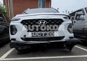 2019, Hyundai / Santa FE, VIN: KMHS381BBLU216860, diesel, 2000 куб.см.