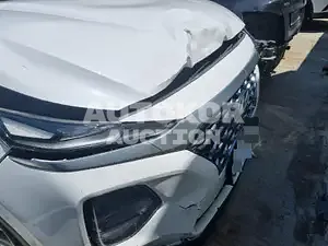 2019, Hyundai / Santa FE, VIN: KMHS281BDLU257047, 50000 км., diesel