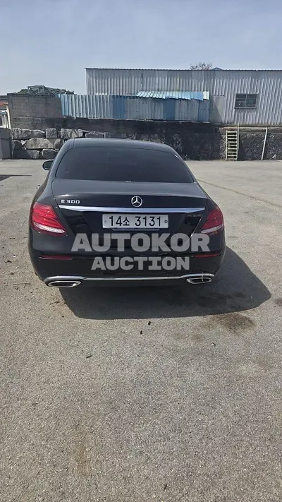 2019, Mercedes-Benz / e300, VIN: WDDZF4JB5KA615093, 66000 км., gas