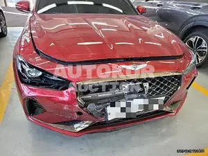 2019, Genesis / G70, VIN: KMTG341ABKU042224, 29763 км., gas