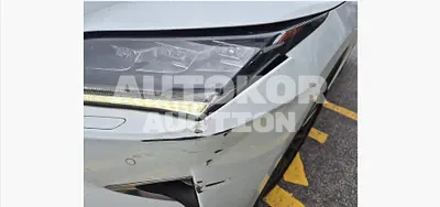 2019, Lexus / RX 450, unknown