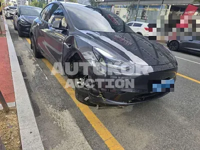 2024, Tesla / Model Y, 65000 км., electric