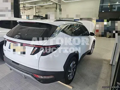 2021, Hyundai / Tucson, 101595 км., hybrid