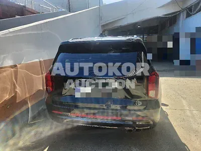 2024, Hyundai / Palisade, 64565 км., gas, 3800 куб.см.