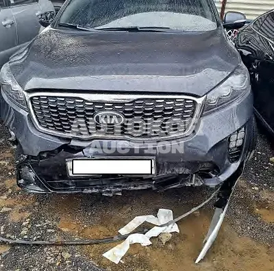 2018, Kia / Sorento, VIN: KNAPG81BBJA461483, 37111 км., diesel