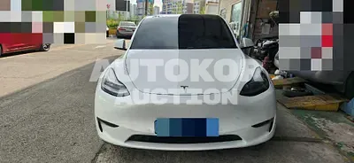 2021, Tesla / Model Y, 67236 км., electric