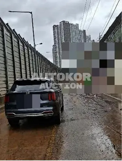 2020, Kia / Sorento, 49483 км., diesel, 2151 куб.см.