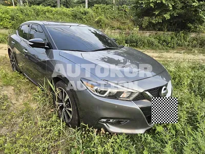 2016, Nissan / Maxima, VIN: 1N4AA6AP7GC437766, 45263 км., gas, 3498 куб.см.