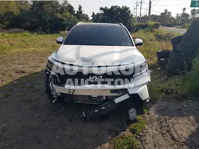 2022, Kia / Sorento, VIN: KNARK81BHNA133310, diesel, 2151 куб.см.