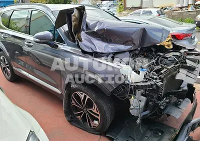 2019, Hyundai / Santa FE, VIN: KMHS281BBKU139725, diesel