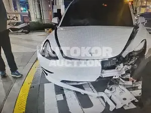 2022, Tesla / Model 3, electric