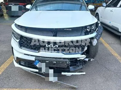 2022, Kia / Sorento, 51078 км., hybrid