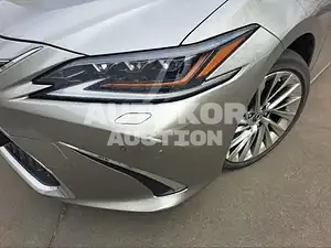 2019, Lexus / ES 300, unknown