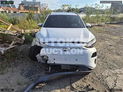 2018, Hyundai / Kona, VIN: KMHK381GFKU017073, 61790 км., electric, 1 куб.см.
