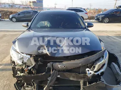2016, Kia / K5, VIN: KNAGS416BGA010943, 133992 км., lpg
