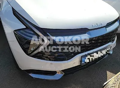 2022, Kia / Sportage, VIN: KNAPV81BGNK006432, gas