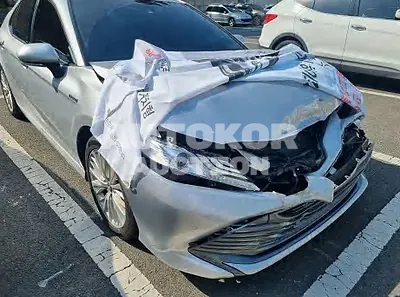 2019, Toyota / Camry, VIN: JTNB21HK8K3022422, hybrid