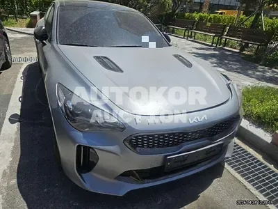 2023, Kia / Stinger, 11112 км., gas, 3300 куб.см.