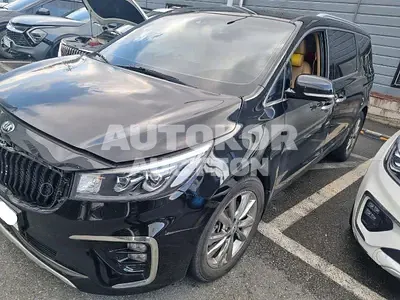2019, Kia / Carnival, VIN: KNAME81ABKS593799, 113928 км., diesel