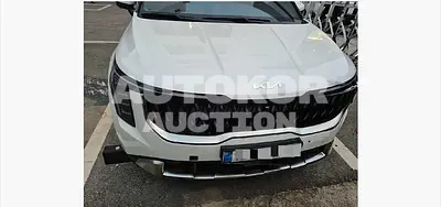 2025, Kia / Carnival, 3573 км., diesel, 2151 куб.см.
