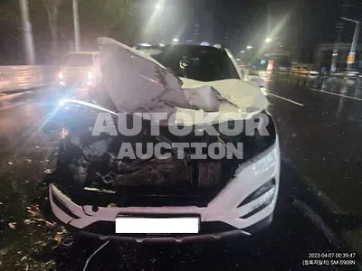 2017, Hyundai / Tucson, VIN: KMHJ3815GHU254008, diesel