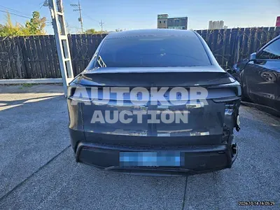 2025, Tesla / Model Y, electric