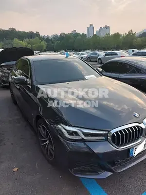 2021, BMW / 520, VIN: WDDUG6EB1JA404176, gas
