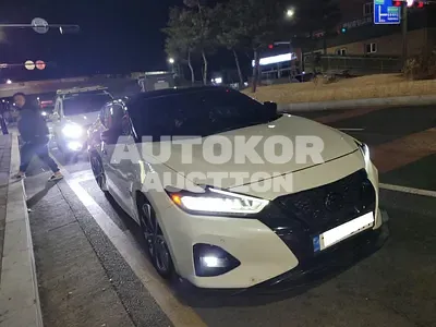 2019, Nissan / Maxima, VIN: 1N4AA6AVXKC382950, gas