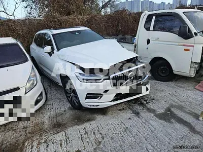2019, Volvo / XC60, gas