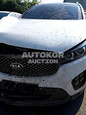 2016, Kia / Sorento, VIN: KNAPK81ABHA290197, 110000 км., diesel