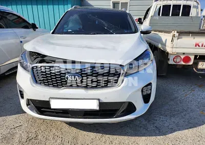 2019, Kia / Sorento, VIN: KNAPS81BBKA528263, 75000 км., diesel