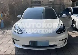 2020, Tesla / Model 3, 36010 км., electric