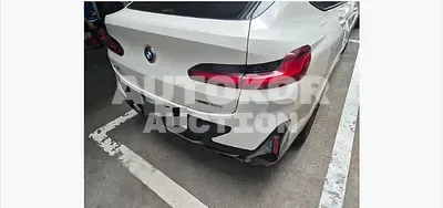 2022, BMW / X4, 48000 км., gas, 1998 куб.см.
