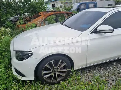 2019, Mercedes-Benz / E 300, VIN: WDDZF4KB6KA578554, gas