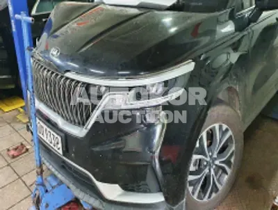 2021, Kia / Carnival, VIN: KNANB81BBMS073501, diesel