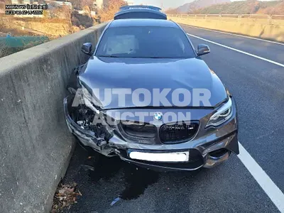 2017, BMW / M2, VIN: WBS1H9100H7A19193, 100000 км., gas