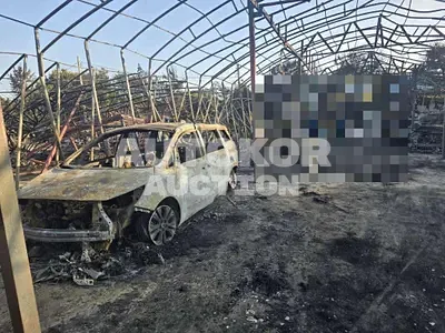 2020, Kia / Carnival, 81323 км., diesel