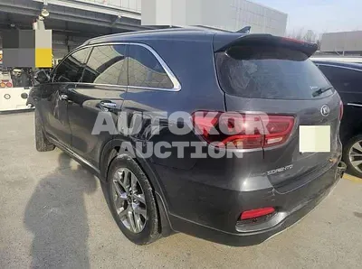 2019, Kia / Sorento, VIN: KNAPH81ABLA617329, 94898 км., diesel, 1995 куб.см.