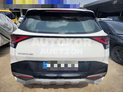 2021, Kia / Sportage, VIN: KNAPY81BGNK007755, gas, 1598 куб.см.