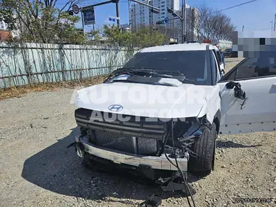2024, Hyundai / Santa FE, hybrid