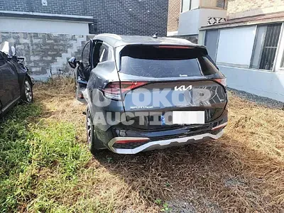 2024, Kia / Sportage, 15000 км., hybrid, 1598 куб.см.