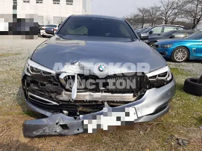 2018, BMW / 520, gas