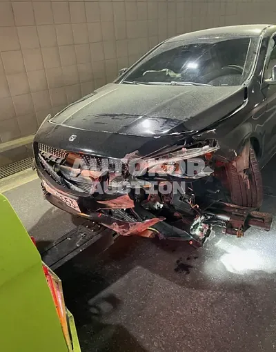 2019, Mercedes-Benz / CLA 220, VIN: WDDSJ4FB2KN725746, 110000 км., gas