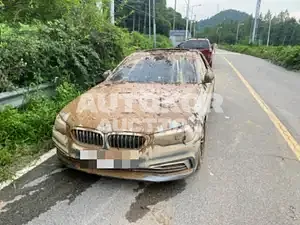 2019, BMW / 520, 70000 км., gas, 1998 куб.см.