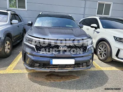 2021, Kia / Sorento, VIN: KNARK81GBMA021835, hybrid