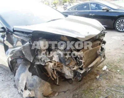 2019, Kia / Sportage, VIN: KNAPM813BKK652073, diesel