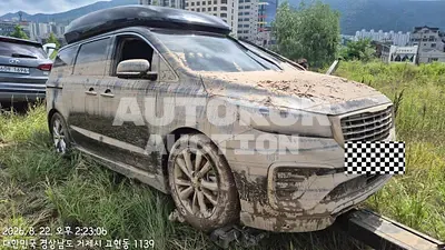 2018, Kia / Carnival, VIN: KNAME81ABKS482253, 65741 км., diesel, 2199 куб.см.